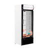 ITALUX VISICOOLER VERT 370L FRIO SECO C/ PLOTEAD