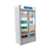 EXHIBIDOR GOODWEATHER GW-620-EF 610 LITROS