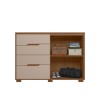 COMODA MOVAL TEXAS 4GAV CARV/FENDI
